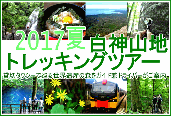 2016夏の世界遺産白神山地トレッキングツアー